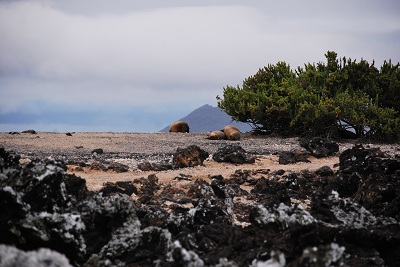Galapagos Adventure Express - 4 DAYS / 3 NIGHTS in Isabela Islands ** MULTISPORT PROGRAM **